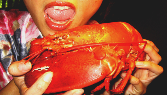 Virginia Dan / Let Them Eat Lobster